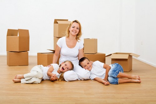 Summary of a professional complaints procedure for removals