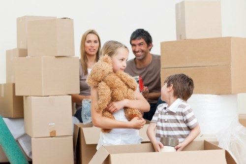 Practical man and van support for a small relocation