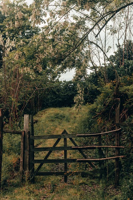 A wooden farm gate painted in dark brown, with horizontal and diagonal support beams, is secured between two vertical posts situated in a grassy area at the entrance to a garden or woodland path. Surrounding the gate are overgrown plants and tall grasses, with some wildflowers visible near the base. The background features dense foliage and trees, creating a canopy overhead with branches extending across the upper part of the image. Soft, natural light filters through the leaves, illuminating the scene. This setting suggests an outdoor environment where a property may be accessed via a rustic wooden gate, indicative of rural or garden boundary demarcations often encountered during home relocations or property transfers. The natural surroundings imply that the scene could be part of a countryside property or outdoor space, with dense greenery typical of rural or semi-rural environments. Such rural gates are sometimes encountered in property clearance or house removal contexts, where outdoor access points are part of the moving process.