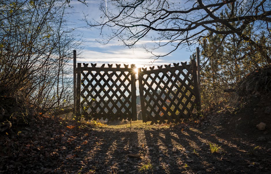 A wooden farm gate painted in dark brown, with horizontal and diagonal support beams, is secured between two vertical posts situated in a grassy area at the entrance to a garden or woodland path. Surrounding the gate are overgrown plants and tall grasses, with some wildflowers visible near the base. The background features dense foliage and trees, creating a canopy overhead with branches extending across the upper part of the image. Soft, natural light filters through the leaves, illuminating the scene. This setting suggests an outdoor environment where a property may be accessed via a rustic wooden gate, indicative of rural or garden boundary demarcations often encountered during home relocations or property transfers. The natural surroundings imply that the scene could be part of a countryside property or outdoor space, with dense greenery typical of rural or semi-rural environments. Such rural gates are sometimes encountered in property clearance or house removal contexts, where outdoor access points are part of the moving process.