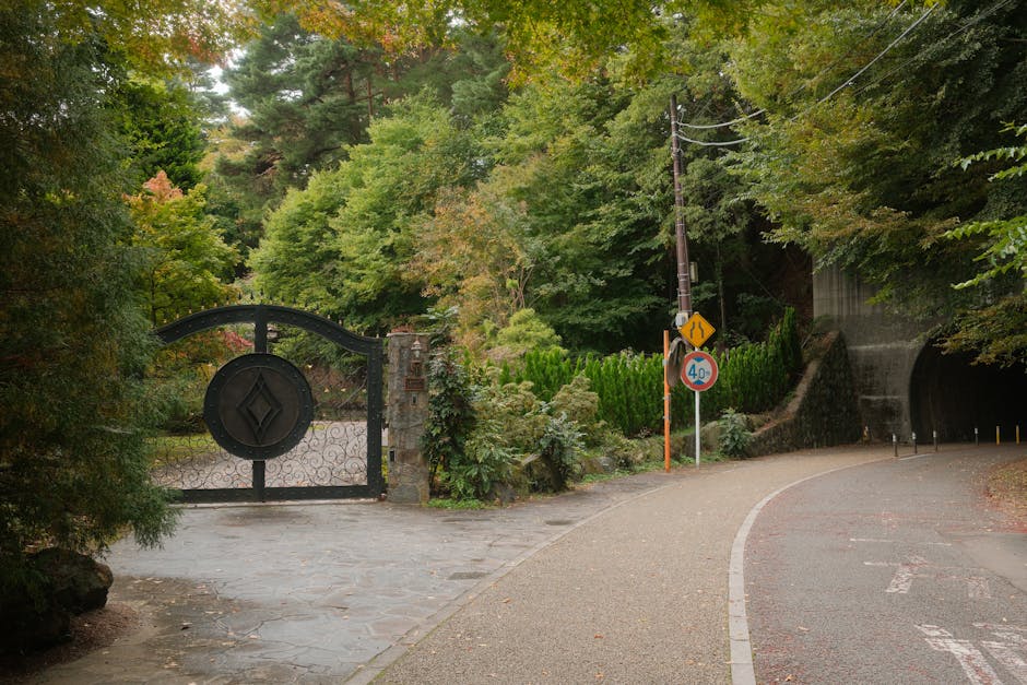 A narrow residential road lined with leafy green trees leading into a tunnel under a hillside, with a black gate featuring a decorative circular emblem at the entrance, adjacent to a stone wall and garden. On the right side, there are traffic signs indicating a 40 mph speed limit and a lane merge, as well as a power pole with overhead cables. The scene reflects a quiet area suitable for home relocation and furniture transport, with the road curving past the tunnel entrance. This setting exemplifies a typical environment where Man With a Van Forest Gate provides removals and moving services, combining natural surroundings with logistical considerations for home moves.