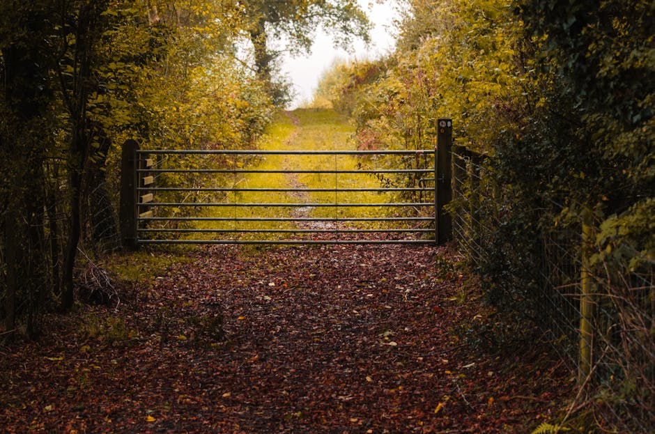 A metal farm-style gate with horizontal bars is closed across a dirt and leaf-covered pathway, surrounded by tall, dense bushes and trees with golden autumn foliage on either side. The pathway continues beyond the gate into a grassy clearing, with soft natural light filtering through the branches. This scene depicts an outdoor setting suitable for the initial stages of home relocation or furniture transport, with the gate acting as a boundary before the moving process begins. Recognizable by the fencing and natural environment, the photograph illustrates the typical outdoors environment encountered when accessing a property for professional removals, such as those offered by Man With a Van Forest Gate, including loading and packing activities related to house removals and moving logistics.