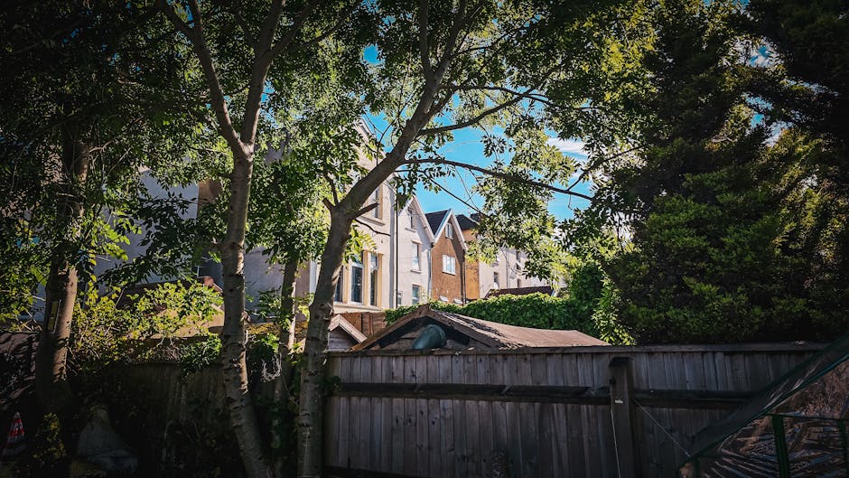 A view from a backyard garden shows a wooden fence in the foreground, with several mature trees with green leaves partially obscuring a row of multi-storey residential buildings with brick and stucco facades in the background. The sky is clear and blue, with sunlight filtering through the tree branches, creating dappled light and shadow. Inside the garden, materials such as cardboard boxes, a plastic-wrapped item, and a small piece of furniture are visible, suggesting packing or unpacking activities associated with home relocation. In the corner of the yard, a trolley and a strap are positioned near the boxes, indicating preparations for furniture transport or loading onto a moving van. The scene depicts a typical house removal process, with the outdoor environment and objects aligned with professional moving services like those offered by Man With a Van Forest Gate, highlighting the logistical steps involved in local moves in the E7 area.