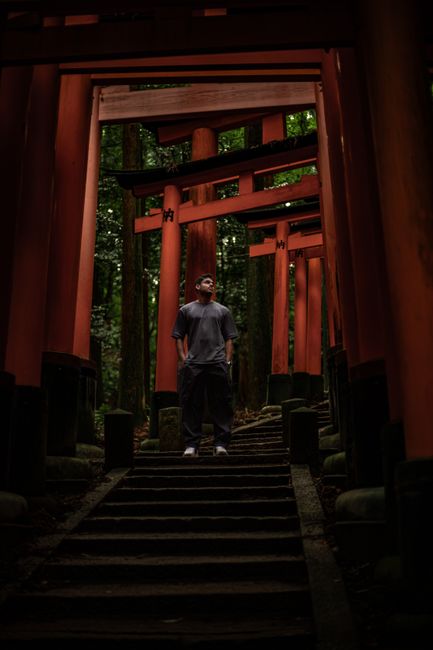 A man standing on stone steps beneath a series of traditional Japanese torii gates painted in a vibrant red-orange color. The torii gates are arranged in a corridor-like formation, with some larger and more prominent than others, leading through a wooded area with green foliage visible in the background. The man is dressed in casual clothing and is looking upward, surrounded by the shadowed environment of the shrine pathway. This scene reflects a peaceful moment during a visit or ritual at a Japanese spiritual site, with the structure's wooden frames and the natural forest creating a serene atmosphere. The image highlights the architectural elements of the torii gates and the natural setting typical of such sacred sites, tying into themes of journey and relocation, akin to house removals and moving processes shown in related services at Man With a Van Forest Gate.