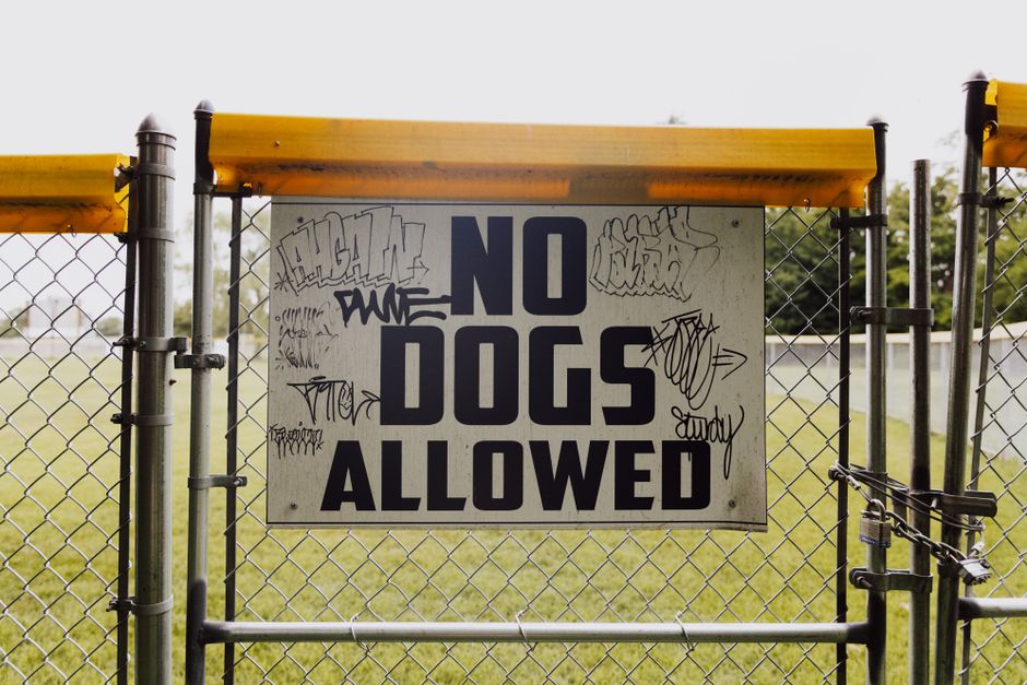 A metal chain-link fence with a yellow top rail surrounds an open outdoor area, possibly a park or sports field. Attached to the fence is a rectangular white sign with bold black lettering stating 'NO DOGS ALLOWED,' which is partially covered in graffiti tags and scribbles in black and white ink. The sign is centered on the fence and positioned slightly above waist height. The background reveals a grassy field and some trees in the distance, with an overcast sky providing diffuse lighting. This scene may be part of a property that requires moving or relocation services, with [COMPANY_NAME], such as Man With a Van Forest Gate, involved in furniture transport or packing and moving logistics, especially considering the context of house removals or adhering to permit rules for Forest Gate.