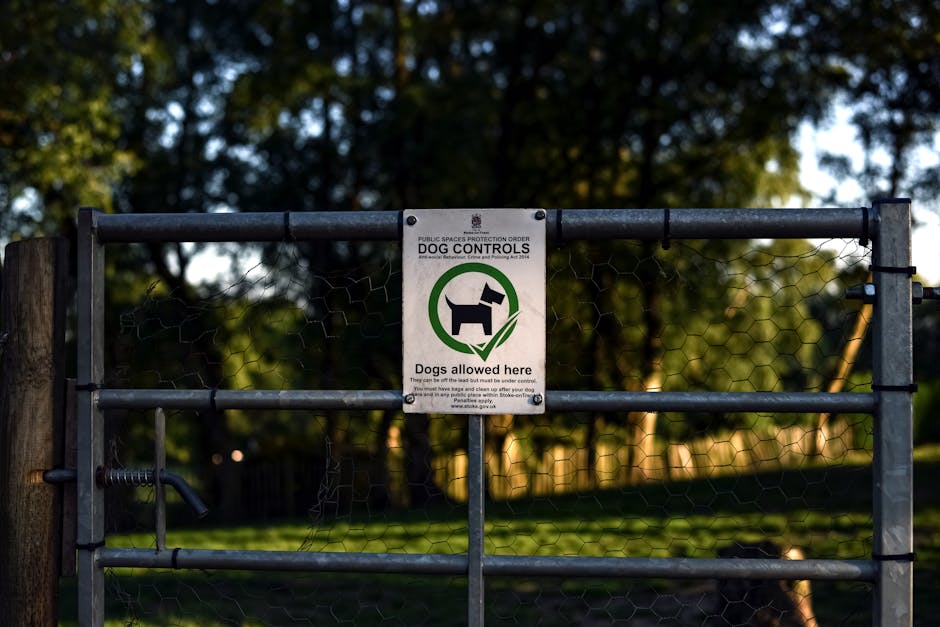 A small wooden gate with vertical slats, secured with a blue tie, is positioned between two large stone pillars at the entrance of a property. The gate is partially open, revealing a pathway leading into a green outdoor area with grass and bushes on either side. Behind the gate, there is a dirt path extending into a lush landscape with dense trees and foliage in the background. The surrounding environment appears natural and rural. In the foreground, there is a paved or concrete surface adjacent to the gate, with some patches of grass growing at its edge. This scene illustrates a typical property entrance, which may be relevant for house removals and furniture transport services provided by Man With a Van Forest Gate, especially in the context of outdoor access for home relocation and moving logistics.